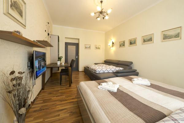 Hotel Apartment Karla Capka Street (Karlovy Vary)